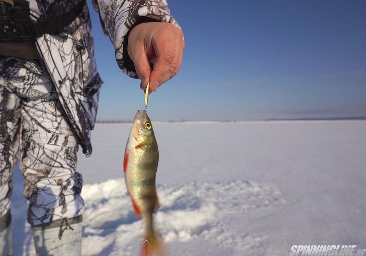 Изображение 5 : Тихий день на зимней рыбалке...