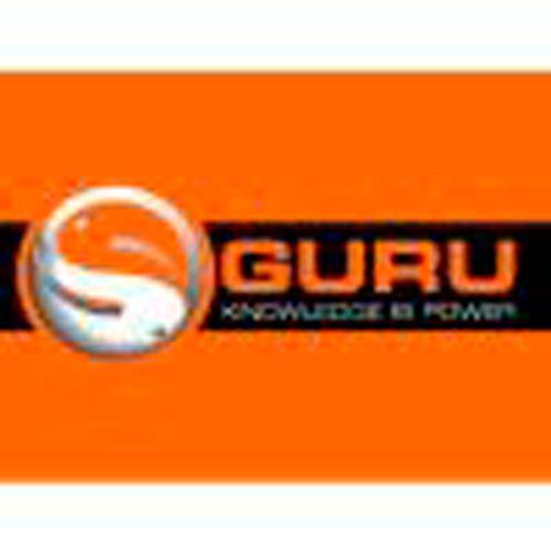     Guru