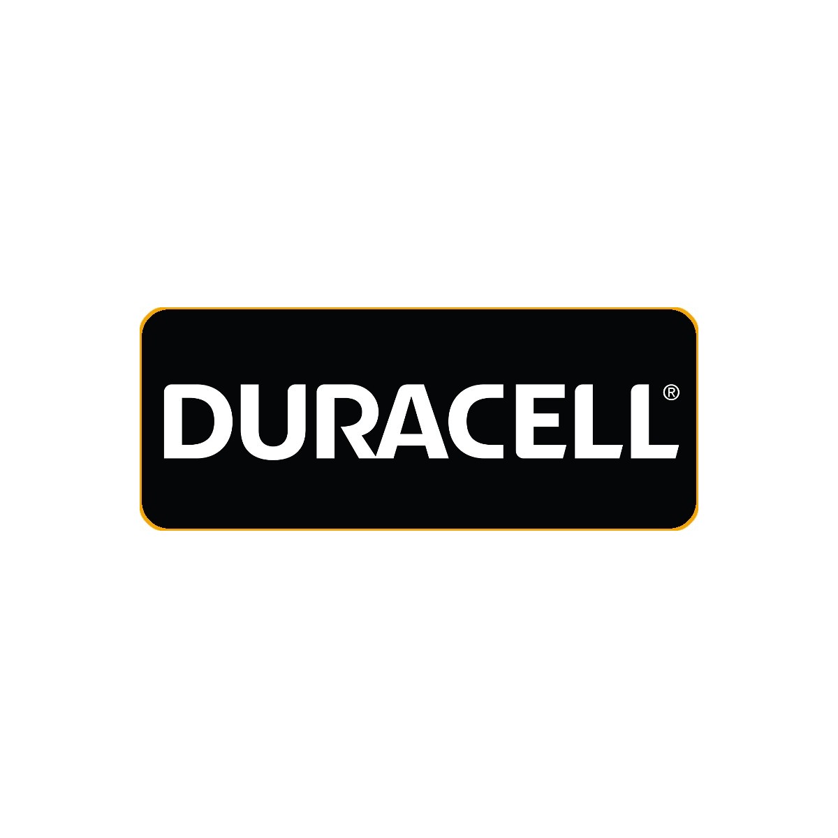 Все рыболовные товары бренда Duracell