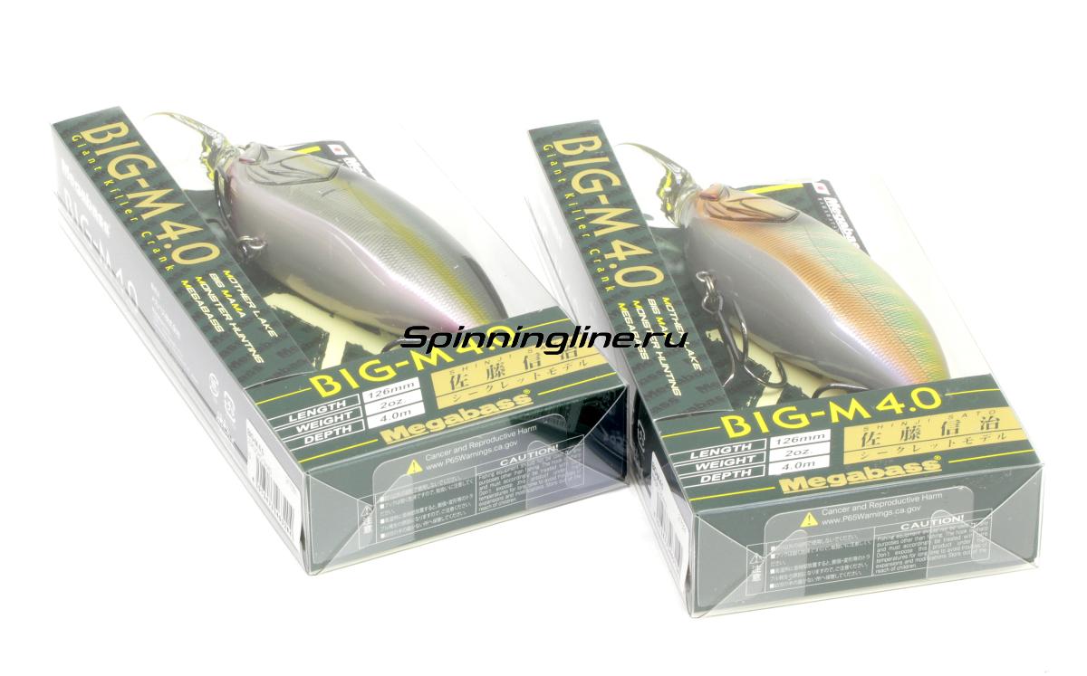 Бмп м 80 югославия. Бмп m-80ab1. Бмп m-80ab1. Big m80. Бмп m-80ab1.