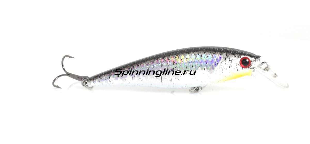 LUCKY CRAFT Pointer 78 (155 Crack Blue), Topwater Lures 