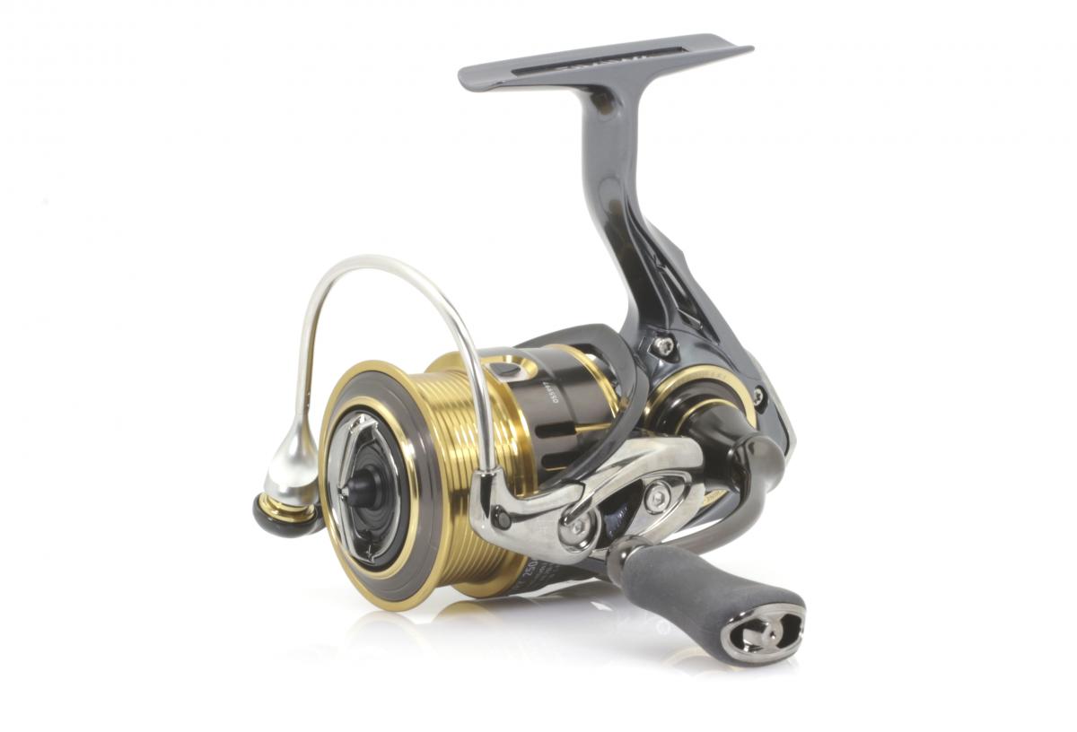daiwa theory 2004