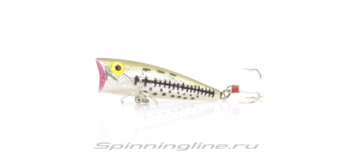 Rebel Teeny Pop-R - Foxy Shad