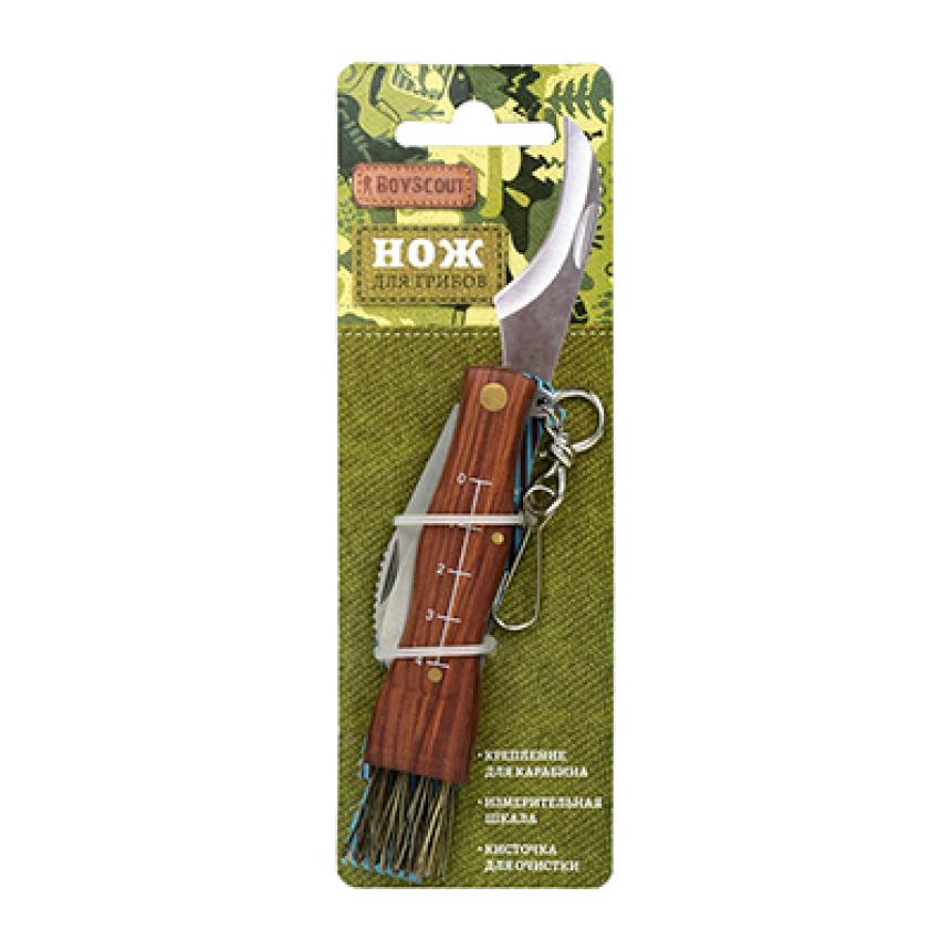   Boyscout