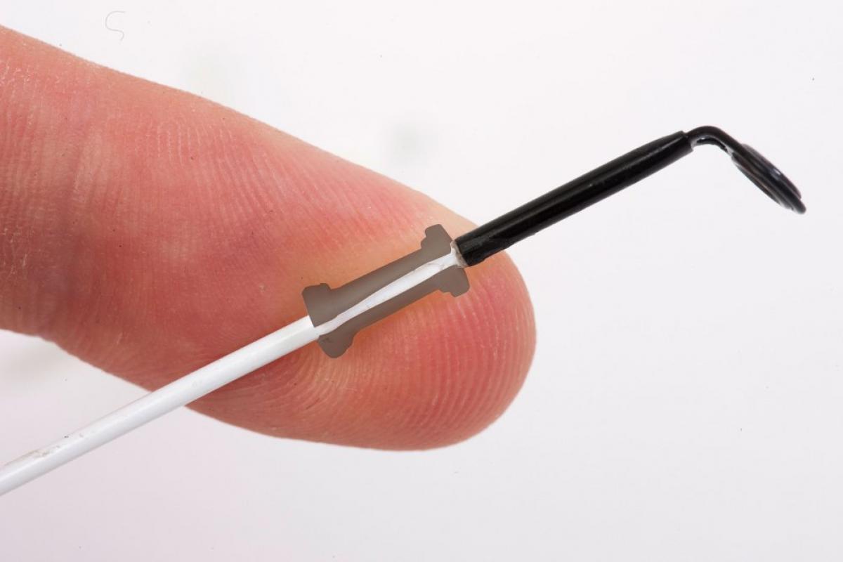 Купить Светлячки На Жерлицы Посылки Алиэкспресс