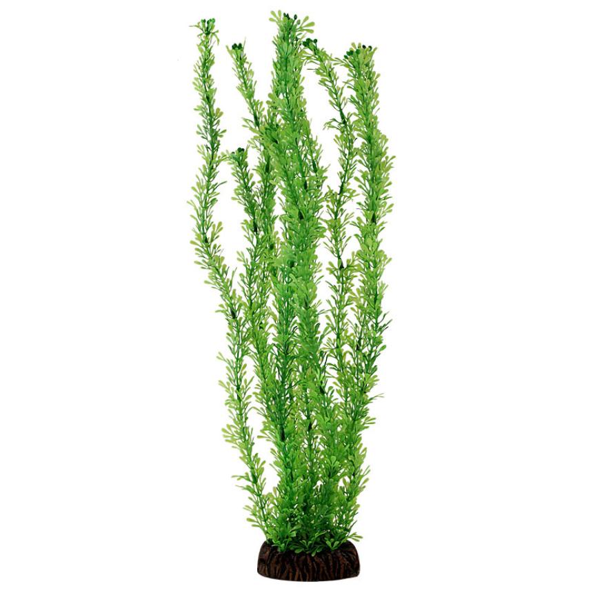 Растение искусственное Laguna лигодиум зеленый 10см