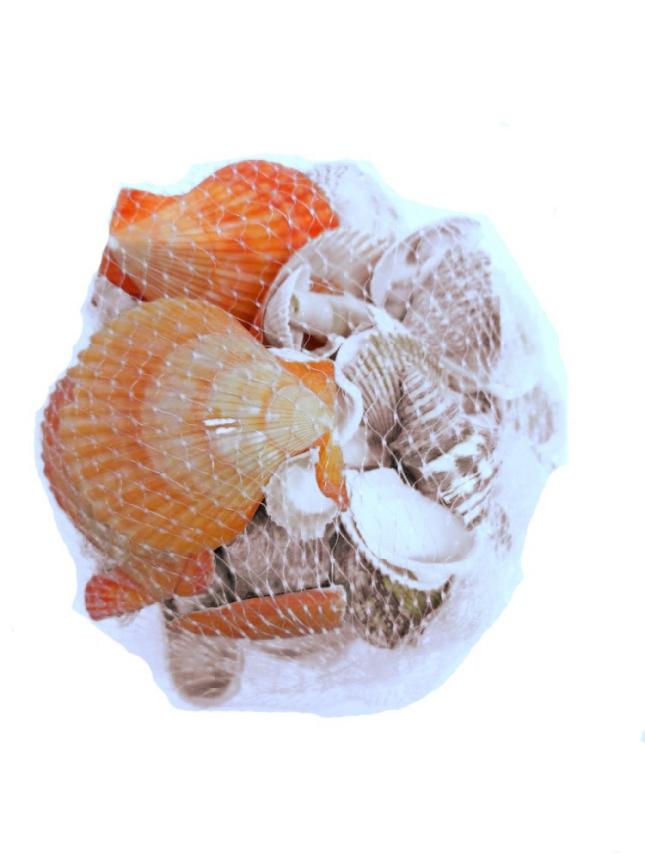 Декор Barbus Snell 001 морские раковины в сеточке "фрукты моря микс" 200гр