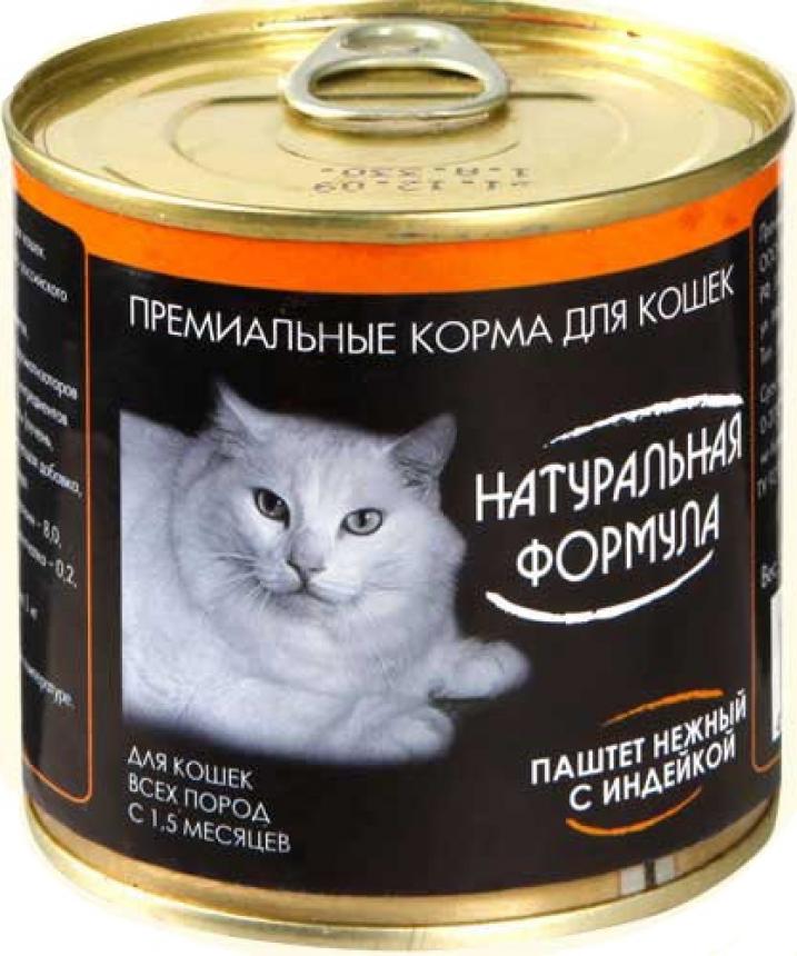 Корм кошек дом