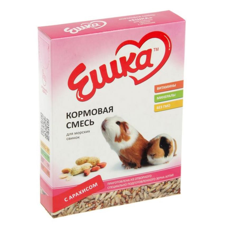 арахис морским свинкам. морская свинка с ирокезом. морская свинка грызуны. арахис морским свинкам. арахис морской свинке.