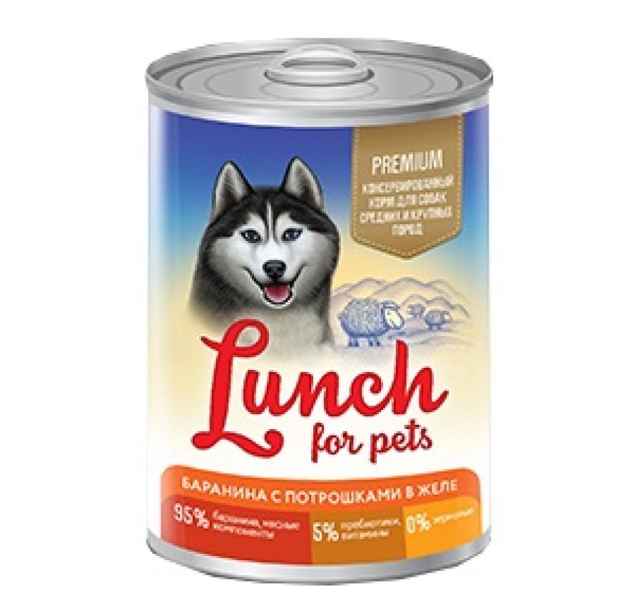  Lunch For Pets   , ,  400