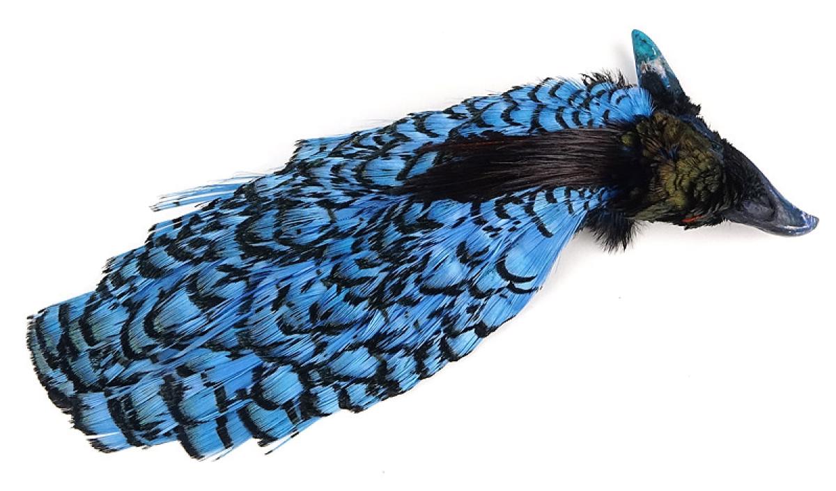   FlyFisher Lady Amherst Complete Head 1 Pale Blue