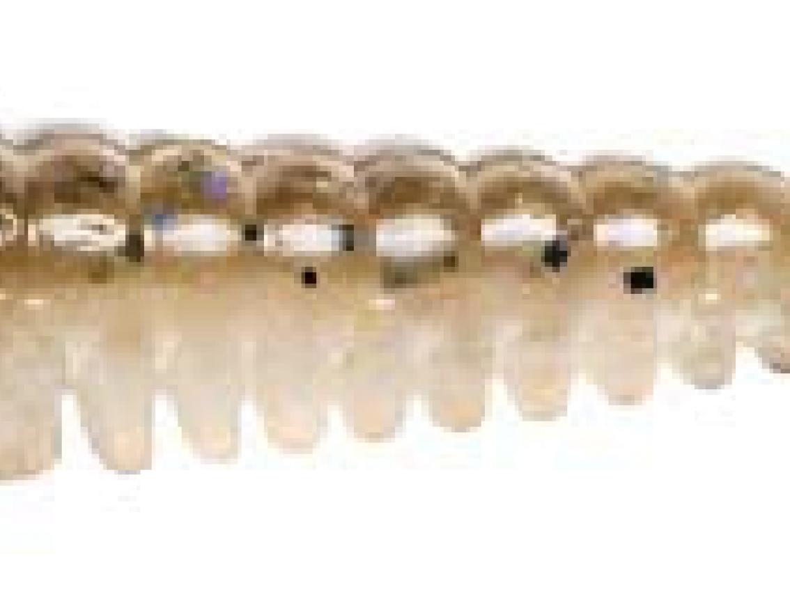  Noike Redbee 146-Prism Minnow