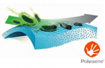 Polygiene®