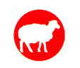 Fleece