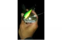 Jackall - Воблер Squad Minnow 65 matt tiger - фотография пользователя