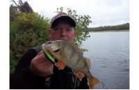 Jackall - Воблер Squad Minnow 65 matt tiger - фотография пользователя
