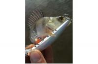 Yo-Zuri/Duel - Воблер Crystal Minnow C57 - фотография пользователя