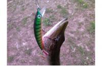 Yo-Zuri/Duel - Воблер Crystal Minnow PC - фотография пользователя