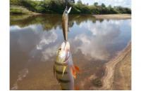 Daiwa - Воблер TD Minnow 1061 SP A-3 - фотография пользователя