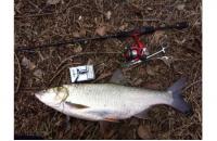 Yo-Zuri/Duel - Воблер L Minnow 33S M101 - фотография пользователя