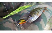 Yo-Zuri/Duel - Воблер L Minnow 33S M37 - фотография пользователя