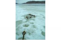 Stinger - Удочка зимняя Icehunter Sport Y желтая - фотография пользователя