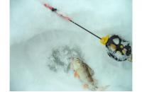 Stinger - Удочка зимняя Icehunter Sport Y желтая - фотография пользователя