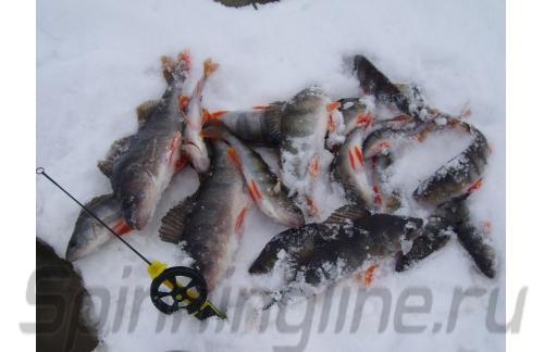 Удочка зимняя Stinger Ice hunter Sport Y желтая - фотография загружена пользователем 2