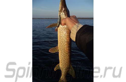 Воблер Squad Minnow 65 hasu - фотография загружена пользователем 4