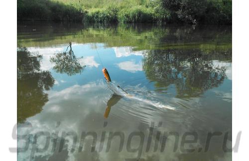 Воблер 3D Popper GBL - фотография загружена пользователем 4
