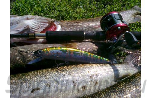 daiwa baitrunner reels Daiwa Infinity X 5000 Bite 'N' Run