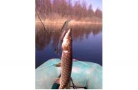 ZipBaits - Воблер Orbit 110SP-SR 312 - фотография пользователя