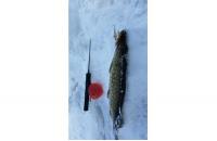 Балансир Rapala W07/PSH - фотография пользователя