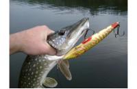 Salmo - Воблер Jack F18 RPE floating - фотография пользователя
