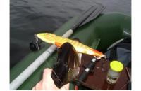 Salmo - Воблер Jack F18 RPE floating - фотография пользователя