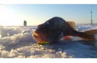 Балансир Rapala W03/BYR - фотография пользователя