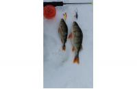 Балансир Rapala W05/HT - фотография пользователя