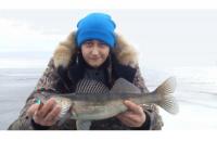Балансир Rapala W07/BSR - фотография пользователя