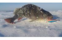 Балансир Rapala W07/BSR - фотография пользователя