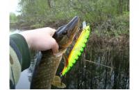 Fishycat - Воблер Tigercub 170F X03 - фотография пользователя