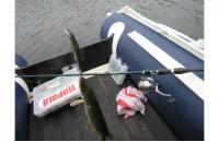 ZipBaits - Воблер Orbit 110SP-SR 084R - фотография пользователя