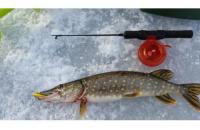 Балансир Rapala W05/LP - фотография пользователя