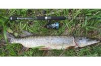 Angler