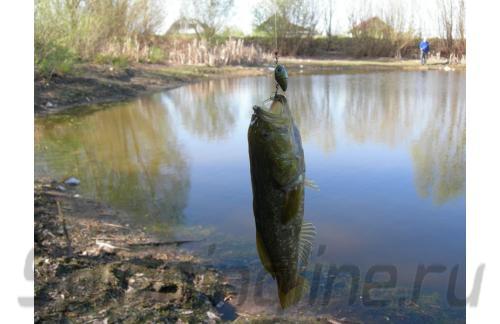 Воблер Bug Minnow 20SR GOGR - фотография загружена пользователем 3