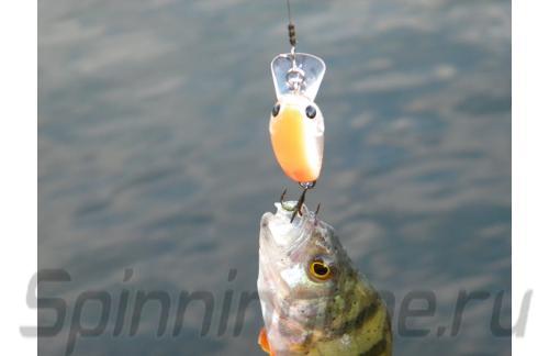 Воблер Micro Cra-Pea MR 5539 Ore Gold Clear 525 - фотография загружена пользователем 2