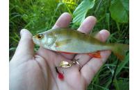 Extreme Fishing - Блесна Indeed R 1,5гр G-G - фотография пользователя