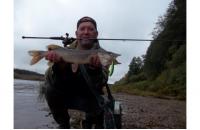 Daiwa - Воблер Morethan X-Cross 95 SSR matt tiger - фотография пользователя
