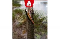 Major Craft - Воблер Zoner Minnow 90SP 05 Rainbow - фотография пользователя
