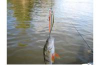 ZipBaits - Воблер Orbit 80SP-SR 840R - фотография пользователя