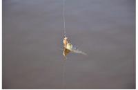 ZipBaits - Воблер Rigge 35F 824R - фотография пользователя